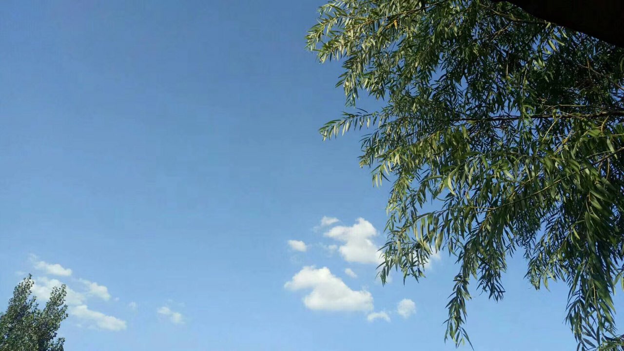 来自往事随风,的都市圈